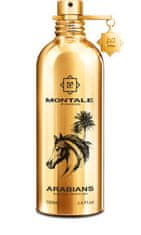 Montale Paris Arabians - EDP 100 ml