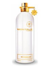 Montale Paris Mukhallat - EDP 100 ml