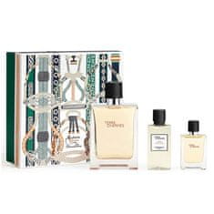 Hermès Terre D´ Hermes - EDT 100 ml + after shave 40 ml + EDT 12,5 ml 12,5 ml