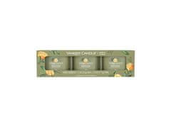 Yankee Candle Illatgyertya szett Sage & Citrus 3 x 37 g