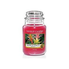 Yankee Candle Illatgyertya nagy Tropical Jungle 623 g