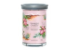 Yankee Candle Illatgyertya Signature tumbler nagy Desert Blooms 567 g