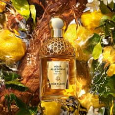 Guerlain Aqua Allegoria Forte Oud Yuzu - EDP 75 ml