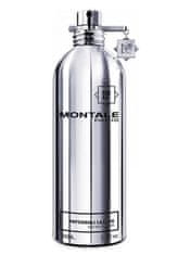 Montale Paris Patchouli Leaves - EDP 2 ml - illatminta spray-vel