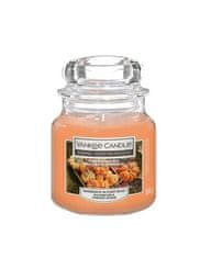 Yankee Candle Illatgyertya Home Inspiration kicsi Pumpkin Harvest 104 g