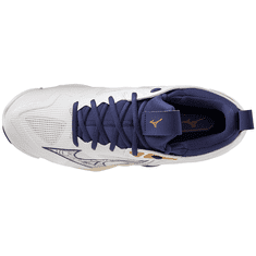 Mizuno Wave Momentum 3 Férfi röplabda cipő, fehér, méret 38