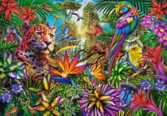 Castorland Jungle Fashion Puzzle 500 darab