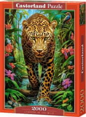 Castorland Puzzle Leopard in the Wild 2000 db