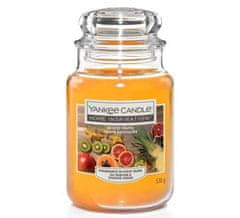 Yankee Candle Classic Illatgyertya üvegben Exotic Fruits 538 g