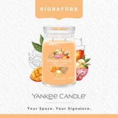 Yankee Candle Illatgyertya Signature üvegben nagy Mango Ice Cream 567g