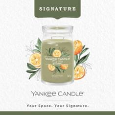 Yankee Candle Illatgyertya Signature üvegben nagy Sage & Citrus 567g