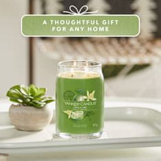 Yankee Candle Illatgyertya Signature üvegben nagy Vanília Lime 567g