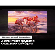 SAMSUNG QE55Q60BAUXXH 55" 4K Smart QLED TV (QE55Q60BAUXXH)