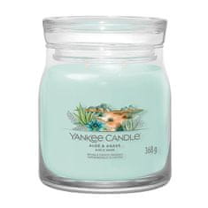 Yankee Candle Svíčka ve skleněné dóze , Aloe a agáve, 368 g