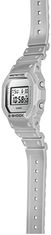 CASIO G-Shock DW-5600FF-8ER (322)