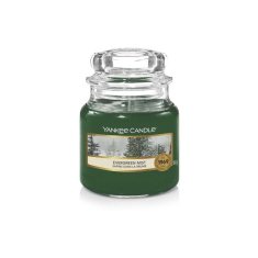 Yankee Candle Evergreen Mist Classic Kicsi gyertya (34693) (34693)