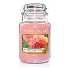 Yankee Candle Illatos gyertya nagy Napfényes sárgabarack rózsa 623 g