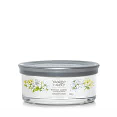 Yankee Candle Illatos gyertya Aláírás pohár Éjféli jázmin 340 g