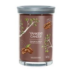 Yankee Candle Aromagyertya Aláírás pohár nagy Praliné és nyírfa 567 g