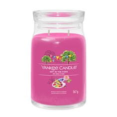 Yankee Candle Aromagyertya Aláírás üveg nagy Art in the Park 567 g