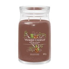 Yankee Candle Aromagyertya Aláírás üveg nagy Praliné és nyírfa 567 g