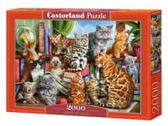 Castorland Puzzle - Macskaház 2000 darab