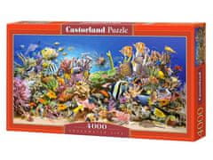 Castorland Puzzle - Víz alatti élet 4000 darab