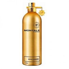 Montale Paris Aoud Ambre - EDP 100 ml