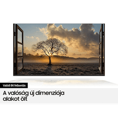 SAMSUNG QE65Q800TATXXH 65" 8K Smart QLED TV 2020 (4500 PQI, HDR 10+, Dolby 5.1 Decoder) (QE65Q800TATXXH)