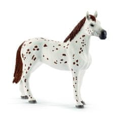 Schleich Appaloosa ló szett gyakorlófelszereléssel 42433