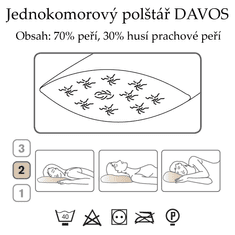 Ch. Fischbacher DAVOS párna 60 x 90 cm, libatollból pamutból