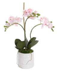 Shishi Kis orchidea virágcseréppel 40 x 25 cm rózsaszín