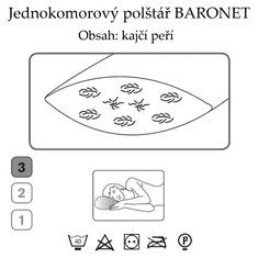 Ch. Fischbacher BARONET párna 65 x 65 cm pamut sárkánytollakból