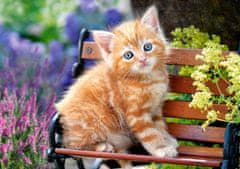 Castorland Puzzle Ginger Kitten 500 darab