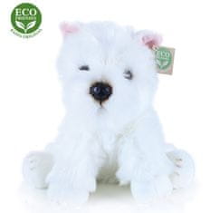 Rappa Plüss ülő westie kutya, 30 cm, ECO-FRIENDLY