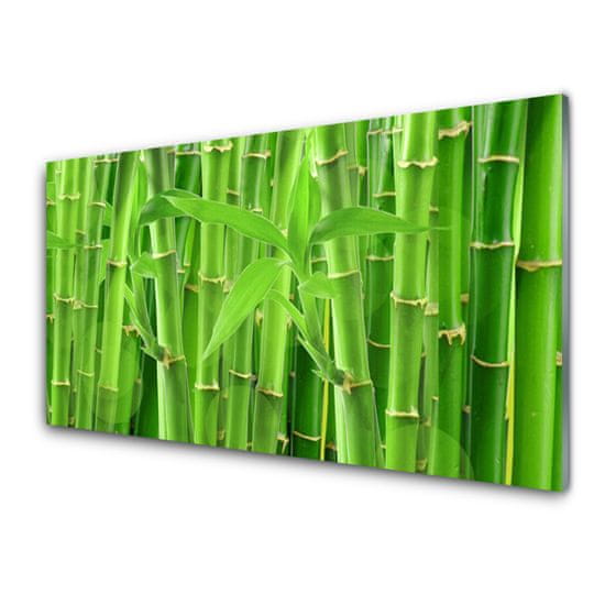 tulup.hu Modern üvegkép Bamboo Stem Flower Plant 2 fogas