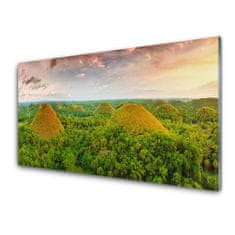 tulup.hu Akrilkép Jungle-erdő Természetvédelmi 100x50 cm 2 fogas