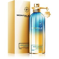 Montale Paris Aoud Lagoon - EDP 100 ml