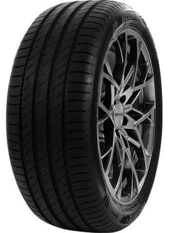 Delinte 195/55R16 91V DELINTE DS2XL