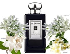 Jo Malone Tuberose Angelica - EDC INTENSE 50 ml