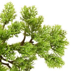 shumee zöld cserepes mű ciprusbonsai 60 cm