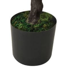 shumee zöld cserepes mű ciprusbonsai 60 cm