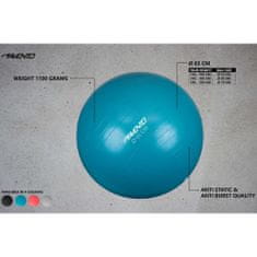 Greatstore Avento fekete fitneszlabda átm. 65 cm