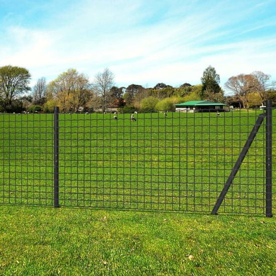 Greatstore Euro Fence szürke acélkerítés 10 x 0,8 m