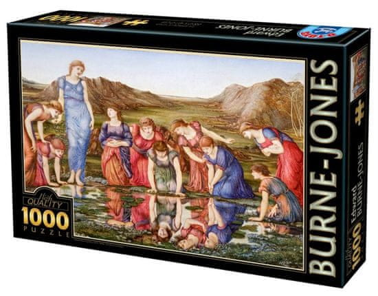 D-Toys Puzzle Mirror of Venus 1000 db