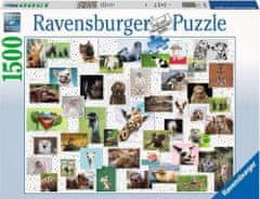 Ravensburger Puzzle kollázs állatarcokkal 1500 darab