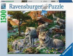 Ravensburger Puzzle Farkasok tavasszal 1500 darab