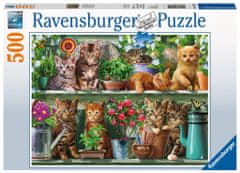 Ravensburger Puzzle Macskák a polcon 500 db