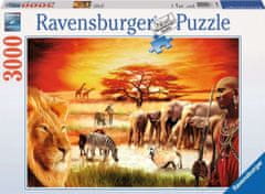 Ravensburger Puzzle Savana - büszke maszáj 3000 darab