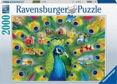 Ravensburger Puzzle Páva 2000 db